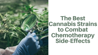 The Best Cannabis Strains to Combat Chemotherapy Side-Effects