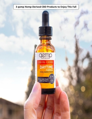 3 qemp Hemp-Derived CBD Products to Enjoy This Fall