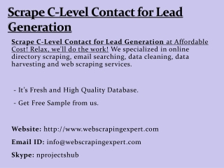 Scrape C-Level Contact for Lead Generation