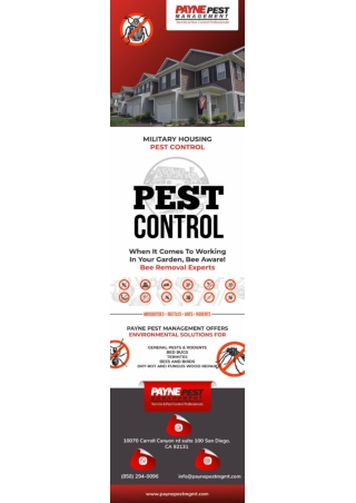 San diego pest control company | Exterminators San diego