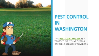 PEST CONTROL IN WASHINGTON