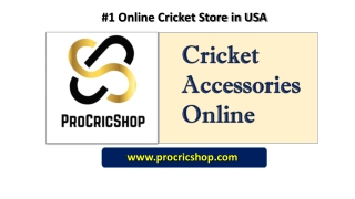 Cricket Accessories Online