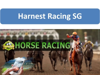 Harnest Racing SG