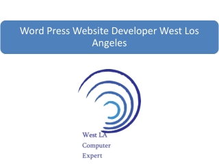 Word Press Website Developer West Los Angeles