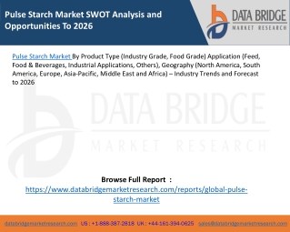 Pulse Protein Market SWOT Analysis and Opportunities To 2026