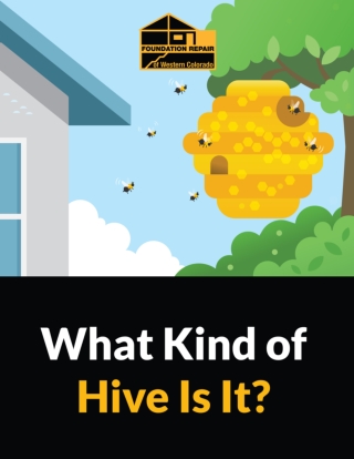 REMOVING DAMAGING BEE AND WASP HIVES FROM YOUR COLORADO HOME