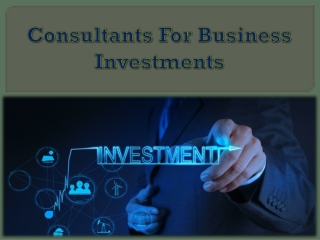 Consultants For Business Investments