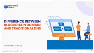 Difference Between Blockchain Domain And Traditional DNS