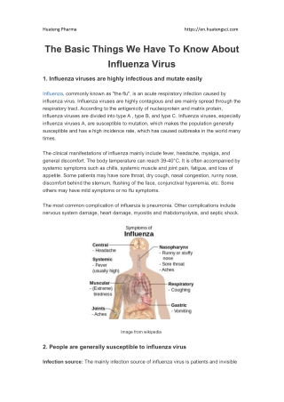 The Basic Things We Have To Know About Influenza Virus