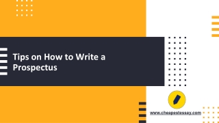 Tips on How to Write a Prospectus