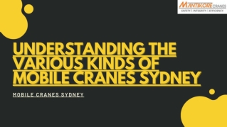 UNDERSTANDING THE VARIOUS KINDS OF MOBILE CRANES SYDNEY
