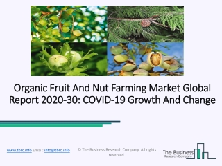 Organic Fruit And Nut Farming Market Size, Demand, Growth, Analysis and Forecast to 2030