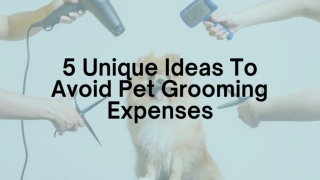 5 Unique Ideas To Avoid Pet Grooming Expenses