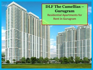 4 BHK Flat for Rent in DLF The Camellias | 4 BHK Apartment for Rent on Golf Course Road Gurugram