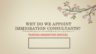 Why do we appoint immigration consultants?