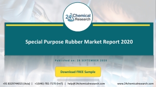 Special Purpose Rubber Market Report 2020