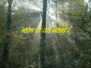 ABBY ET LES ARBRES