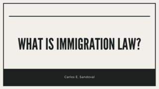 What is Immigration Law? - Carlos E. Sandoval