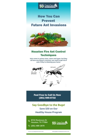 Pest Control Agency Houston | Pest Control Katy