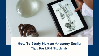 How To Study Human Anatomy Easily: Tips For LPN Students