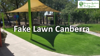 Fake Lawn Canberra