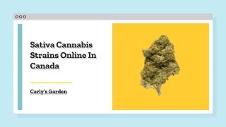 Buy Sativa Cannabis Strains Online In Canada - Carly's Garden