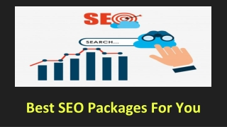 Best SEO packages For You
