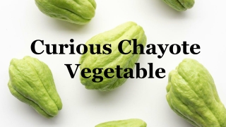 Curious Chayote Vegetable