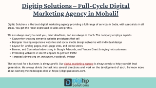 Digitip Solutions – Full-Cycle Digital Marketing Agency in Mohali!