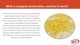 What is cryogenic preservation, and how it works?