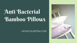 Anti Bacterial Bamboo Pillows