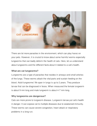 Cat Lungworms – Facts to Know from Symptoms to Prevention