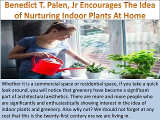 Benedict T. Palen, Jr Encourages The Idea of Nurturing Indoor Plants At Home