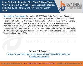 Gene Editing Tools Market Size, Share & Rising Trends Analysis, Forecast By Product Type, Growth Strategies, Opportunity
