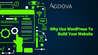 Best Web Design Company in Delhi