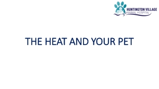 The Heat and Your Pet