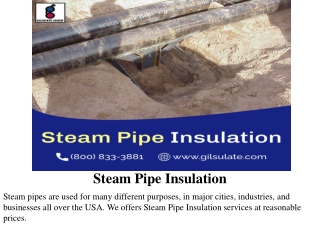 Steam Pipe Insulation