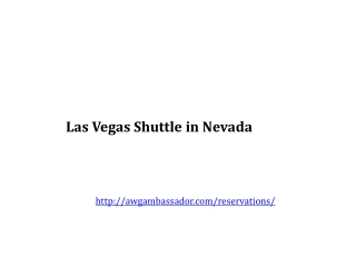 Las Vegas Shuttle in Nevada