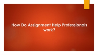 How do assignment help professionals work