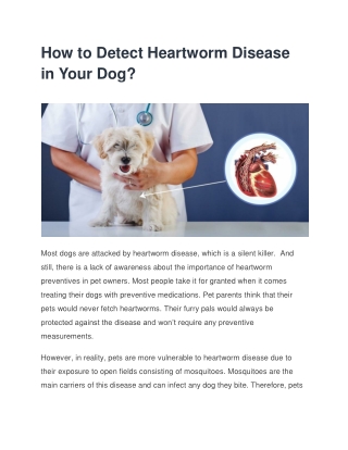 How to Detect Heartworm Disease in Your Dog?