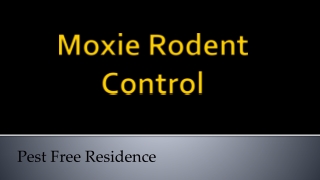 Moxie Rodent Control
