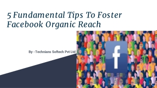 5 Fundamental Tips To Foster Facebook Organic Reach