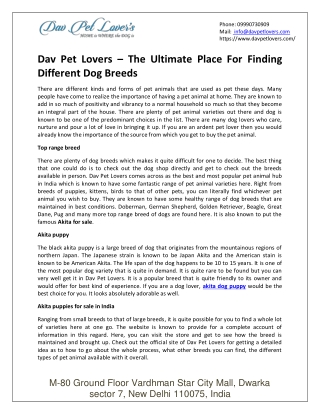 Dav Pet Lovers – The Ultimate Place For Finding Different Dog Breeds