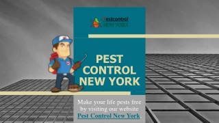 PEST CONTROL NEW YORK