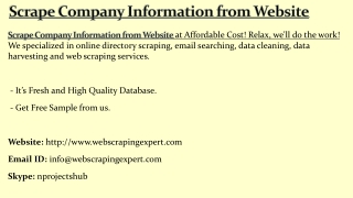 Scrape Company Information from Website