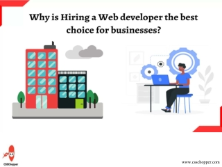 Why is Hiring a Web Developer The Best Choice For Businesses?