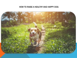 HOW TO RAISE A HEALTHY AND HAPPY DOG