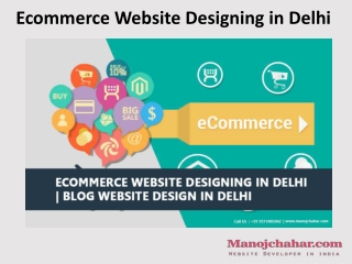 Ecommerce Website Designing in Delhi | Blog Website Design in Delhi