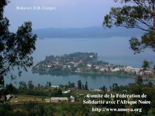 Comité de la Fédération de Solidarité avec l'Afrique Noire http://www.umoya.org