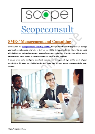 SMEs’ management and Consulting